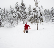 Magical Lapland Day Trips on sale for 2023
